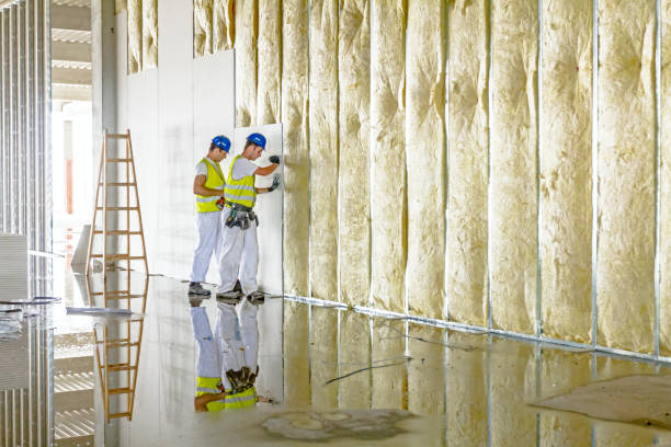 Best DIY Insulation Kits and Guidance in Clarksburg, MD